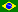 Portugês (BR)